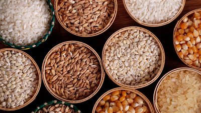  منظمة الأغذية والزراعة تتوقع زيادة إنتاجية الذرة وانخفاض القمح خلال الفترة المقبلة