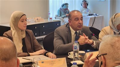 التخطيط تعقد ورشة عمل عن تنفيذ رؤية مصر 2030