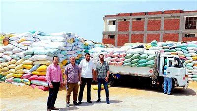 ضبط 300 طن قمح داخل نقاط تجميع غير رسمية بالبحيرة 