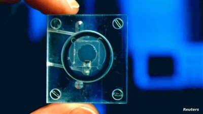 بعد 20 عاما.. طفرة 