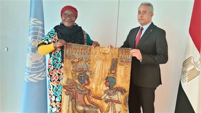 وزير العمل: الوزارة جاهزة لنقل خبراتها إلى القارة السمراء