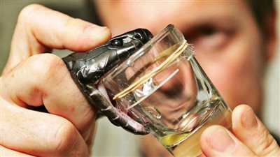 جمال شعبان يكشف سر السم في دواء لعلاج الضغط المرتفع