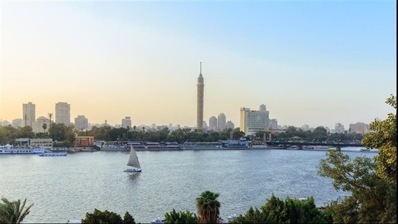 حالة الطقس غدا، فيتو