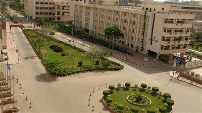 فوز أستاذ النقد الأدبى بجامعة الزقازيق بجائزة الدولة التقديرية 