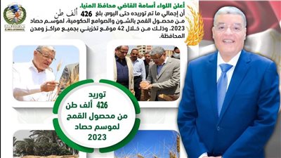 المنيا تستقبل 426 ألف طن قمح بجميع المراكز 