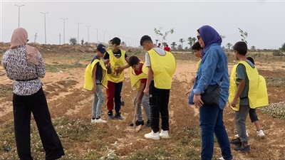الشباب والرياضة تساهم فى إعمار سيناء بزراعة ألف شجرة زيتون (صور)