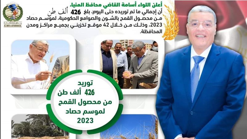 توريد القمح في المنيا،فيتو