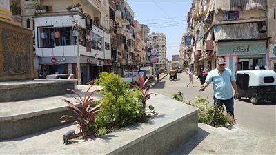 ضمن مبادرة 100 مليون شجرة زراعة 283 ألف شجرة مثمرة بمراكز البحيرة