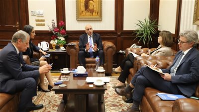 الأمم المتحدة تؤكد أهمية تطوير قطاع المشروعات الصغيرة في مصر