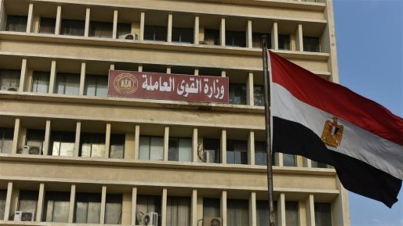 وزارة العمل،فيتو