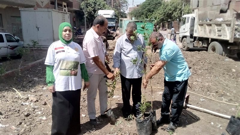زراعة المنطقة الاشجار