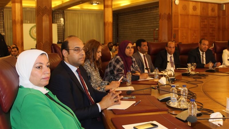  جامعة الدول العربية،فيتو