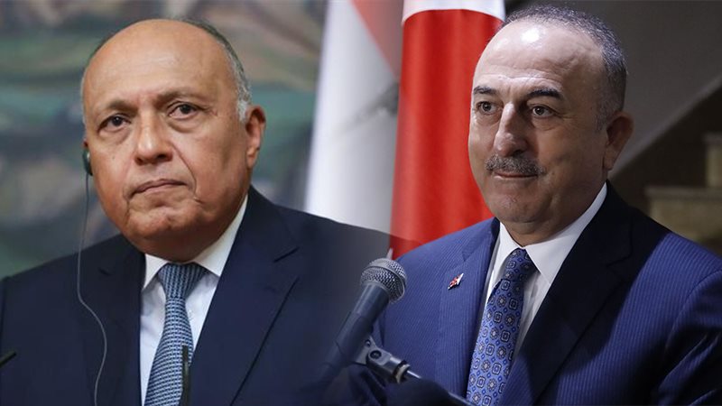 وزير الخارجية المصري