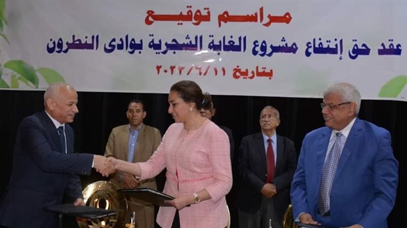 نائب محافظ البحيرة،