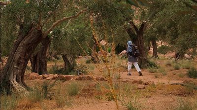 قبيلة الجبالية، القصة الكاملة للحماة الأصليين لمحمية سانت كاترين (صور)