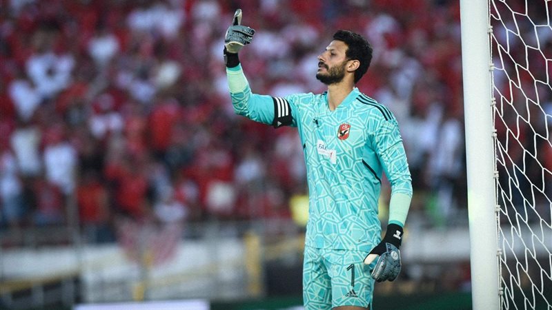 محمد الشناوي، فيتو