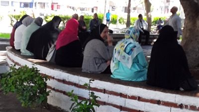 أولياء أمور الثانوية في الإسكندرية يحتمون من الشمس في انتظار خروج أبنائهم (صور)