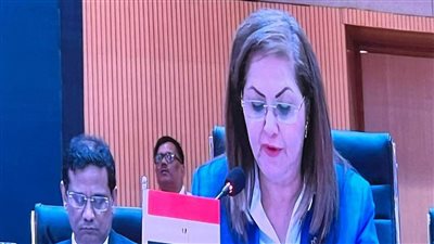 وزيرة التخطيط: الحكومة تولي اهتمامًا كبيرًا لتوطين أهداف التنمية المستدامة