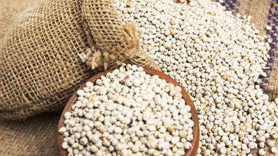 سعر طن الذرة البيضاء يعاود الارتفاع في الأسواق اليوم الأحد