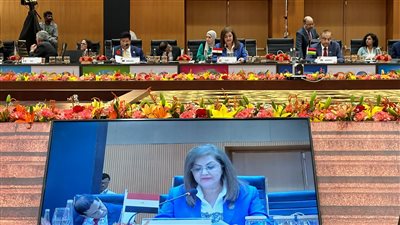 وزيرة التخطيط تشارك في جلسة بعنوان التنمية الخضراء نهج حياة بالهند 