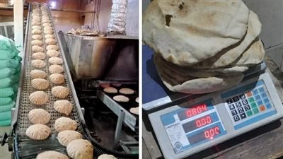 ضبط 1500 لتر سولار وتحرير 45 محضرا بحملات تموينية بالبحيرة (صور)