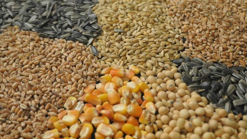 الافراج عن خامات