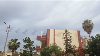 أمطار خفيفة وجو ملبد بالغيوم، حالة الطقس اليوم بالدقهلية (فيديو وصور) 