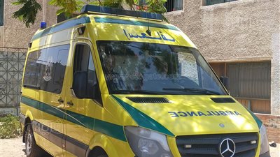 تفاصيل مقتل صاحب مقهى على يد سائق توك توك في البساتين.. الاصطدام في طاولة إحراق فحم الشيشة «سبب المشاجرة» 