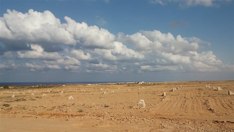 أراضي الإسكان، فيتو