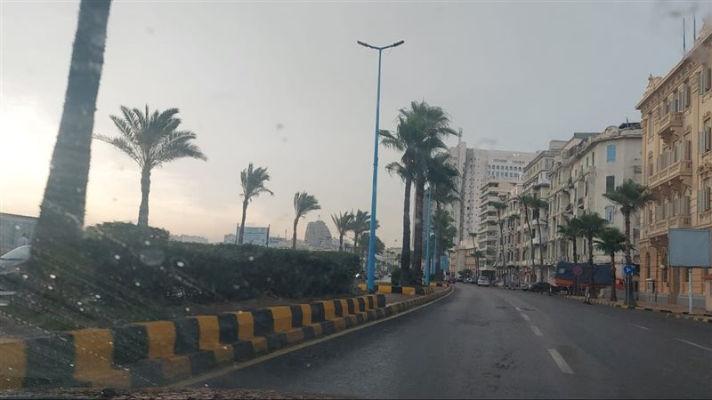 شتاء الإسكندرية،