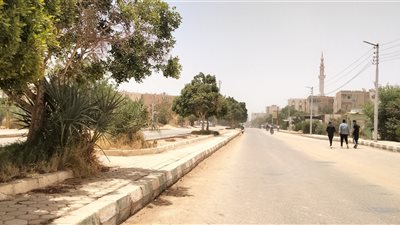 عواصف ترابية وارتفاع درجات الحرارة، موجة من الطقس السيئ تضرب الوادي الجديد (فيديو)