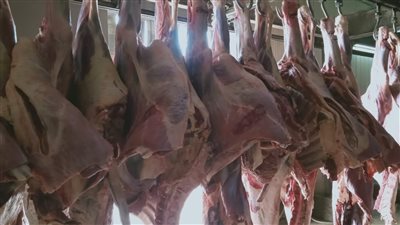 التموين: اللحمة الهندي بـ130 جنيه واشتروا على قدكم