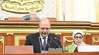 برلماني يطالب بتخفيض أسعار توصيل الغاز للمنازل