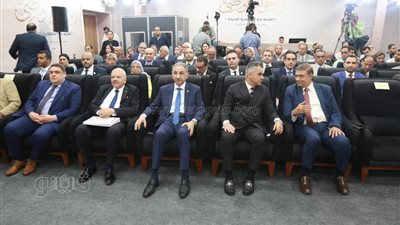 عضو مجلس أمناء الحوار الوطني: زيادة كبيرة في عدد السكان مقارنة بالأراضي الزراعية