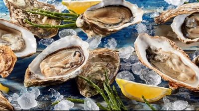 رجل يلقى حتفه بسبب تناوله محارا نيئا 