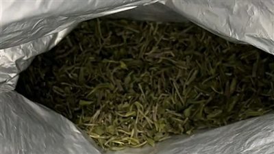 ضبط محاولة تهريب كمية من نبات القات المخدر بمطار الغردقة