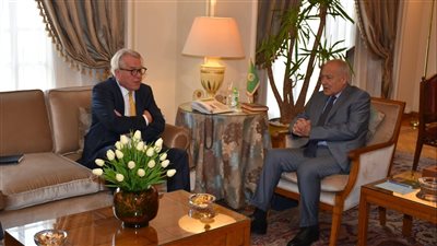 أبو الغيط يحذر من تراجع الاهتمام الدولى بالقضية الفلسطينية