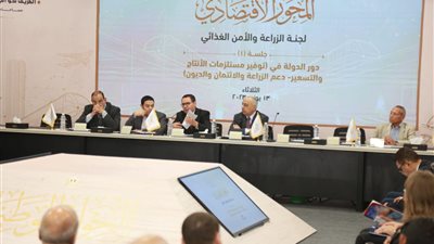 الحوار الوطني، أحمد الشرقاوى يطالب بمراجعة أوضاع الجمعيات الأهلية المُتحفظ عليها