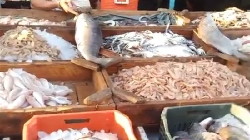 أسعار الأسماك،فيتو