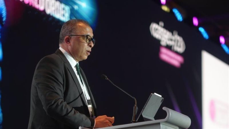 د. أشرف العربى، فيتو