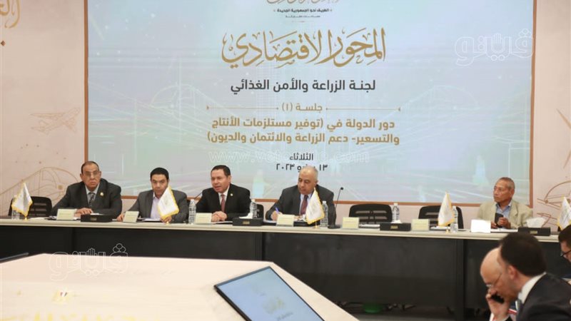الحوار الوطني،فيتو