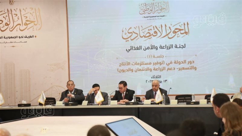 الحوار الوطنى، فيتو