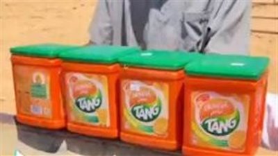 قطيع من الإبل يشرب عصير البرتقال 