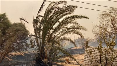 السيطرة على حريقين بشونة قمح ومصرف زراعي بالوادي الجديد (صور)