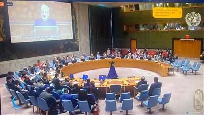 شيخ الأزهر أمام مجلس الأمن: قانون الاختلاف حجر الزاوية في مفهوم الخلق الإلهي للإنسان