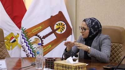 229 فكرة على منصة المبادرة الوطنية للمشروعات الخضراء الذكية بالوادي الجديد 