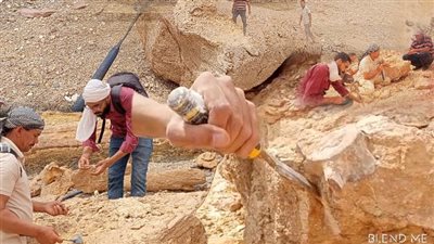 حفريات الوادي الجديد يكتشف بقايا زاحف بحري عمره 65 مليون سنة