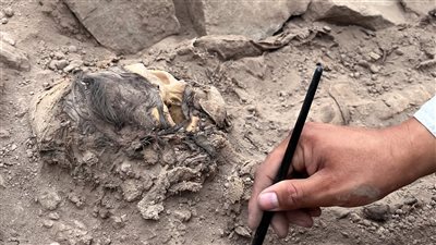 اكتشاف مومياء عمرها 3000 عام في بيرو