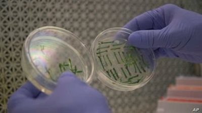 تشبه الجنين في مراحلة الأولى.. تخليق نماذج لأجنة بشرية دون بويضات وحيوانات منوية