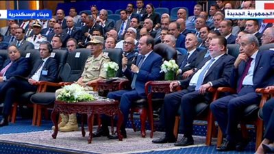 الرئيس السيسي: الحوكمة ساعدتنا في كشف المخالفين 